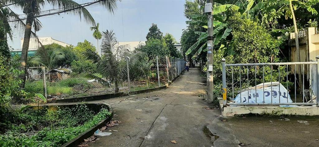 Bán đất 753m2 full thổ, bình quới, p28, bình thạnh, vị trí đẹp đầu tư