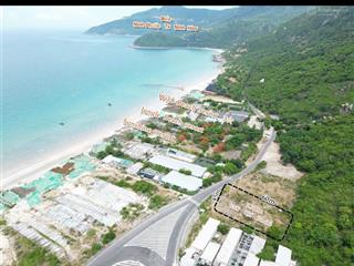 Đất mặt đường nhựa 2479m2 cách mặt biển chỉ 50m, toàn bộ đất ở đô thị giá chỉ có 12tr/m2
