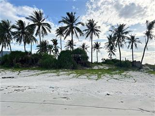 Lô đất trực diện biển dốc lết siêu đẹp 4850m2, bám bờ cát 51m