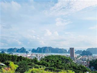 Gấp! cần bán cắt lỗ biệt thự flc hạ long view chính diện biển 300m2