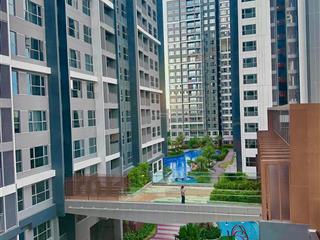 Chuyên rổ hàng chuyển nhượng tháng 7 celestarise tin chuẩn  giá tốt nhất