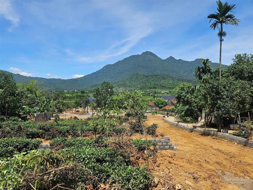 2,1 tỷ sở hữu ngay lô đất đẹp xã yên bài.301m2,có 150m thổ cư,đường rộng đã xây ranh giới rõ ràng