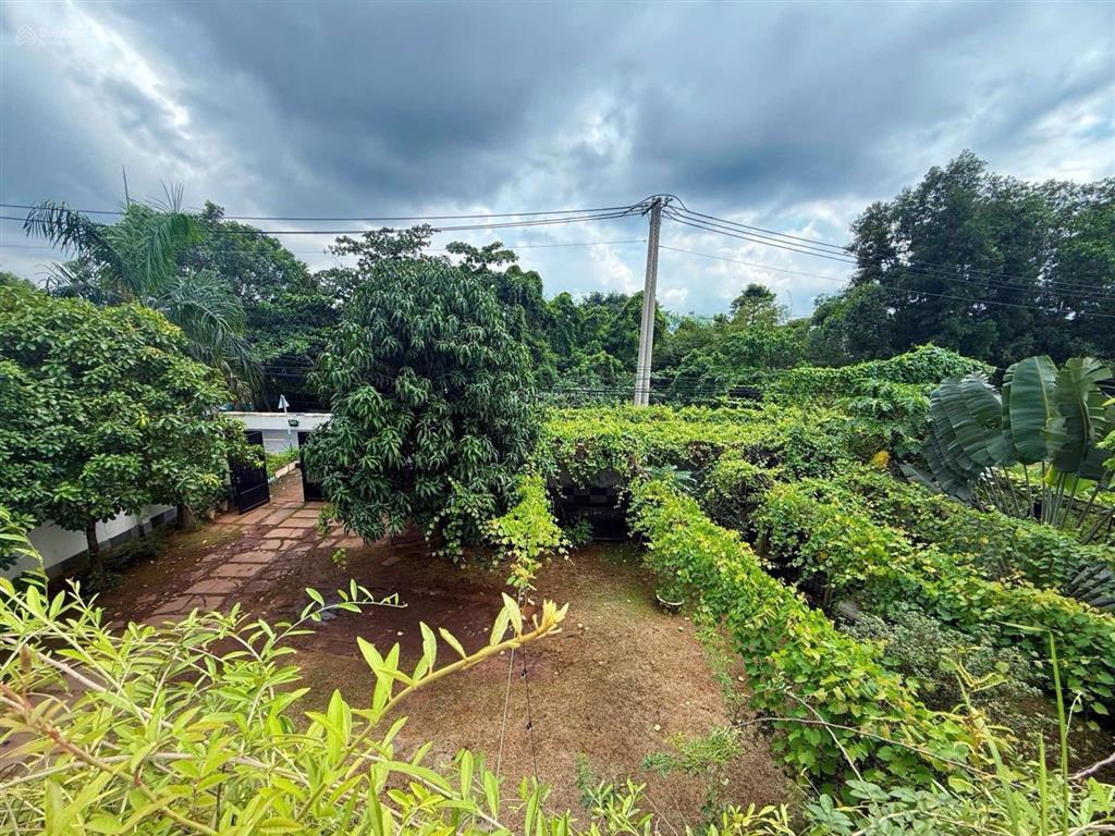 Bán biệt thự sân vườn, hồ bơi, ao cá koi , 1200m2 , bình chánh chỉ 37,5 tỷ