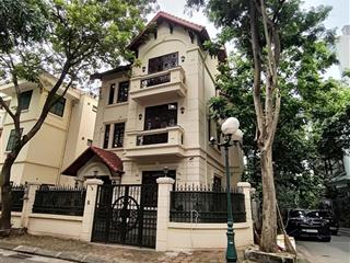 Bán nhà phân lô vip khu hoàng văn thái, thanh xuân, lô góc, 120m2, ô tô tránh, ở sướng, kd đỉnh.