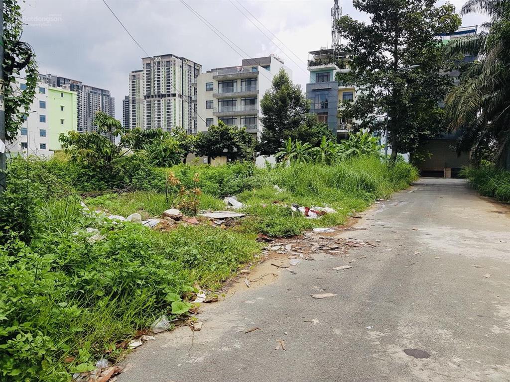 Bán đất biệt thự dự án huy hoàng, diện tích 289,2m = 15x20m, giá 57,5 tỷ