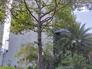 Bán lô đất nền dự án huy hoàng, vị trí đất góc 2 mặt tiền đường số 59a 8x20m giá 280tr/m2