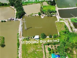 11000m2 đất view sông rạch dơi giá 4tr/m2 xã nhơn đức giáp t&t millennia sài gòn village long hậu