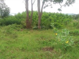 Chỉ 2,5 tr/ 1m2, chính chủ bán rẻ đất mặt tiền ql26, ninh tây, ninh hòa, khánh hòa, nam vân phong