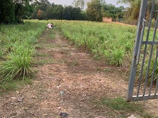 2500m2 có 400m2 thổ cư, còn lại đất vườn, địa chỉ tản lĩnh ba vì, hn. giá chỉ vài triệu /1m2