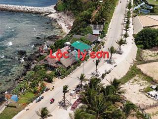 Sốc đất qh đất ở tại đặc khu lý sơn  giá rẻ bằng một nửa thị trường!