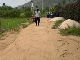 Lý sơn bứt tốc "đặc khu du lịch biển đảo" sắp hình thành