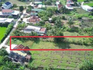 Bán đất tại thôn tân hiệp, chỉ 650tr sở hữu ngay lô đất 670.1m2, ngang 10m, vị trí đẹp