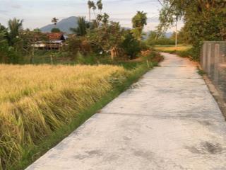 Đất phường ninh giang (nay phường hoà thắng) ninh hoà, giá chỉ 3,1tr/m2