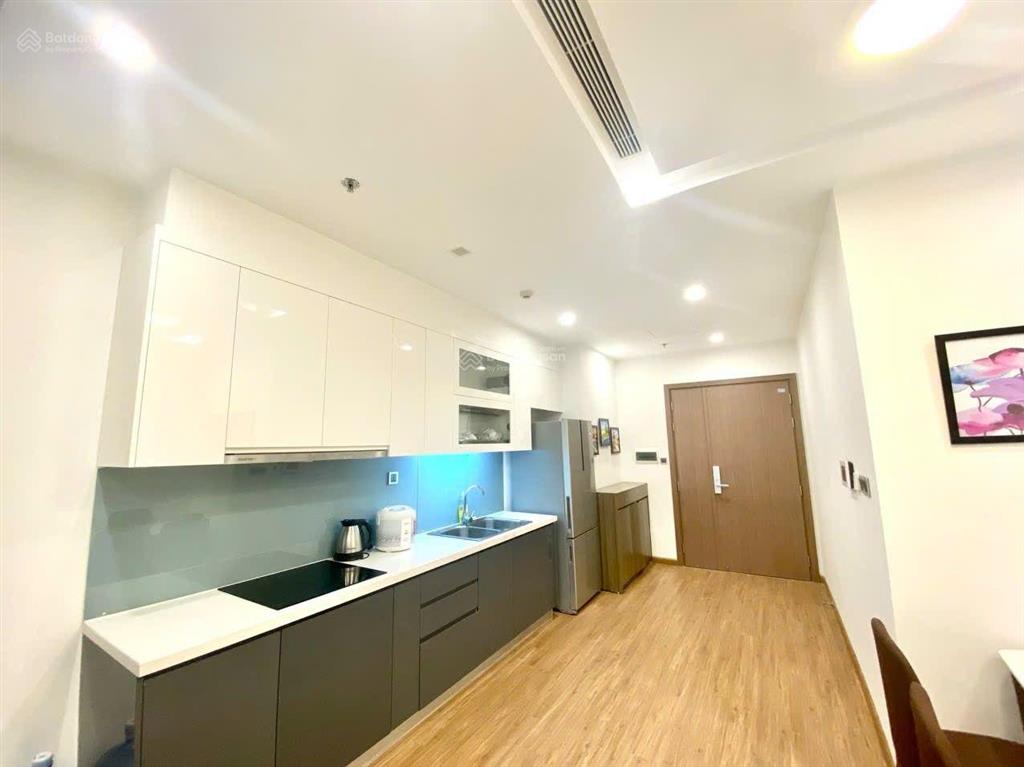 Cho thuê căn hộ 1pn giá chỉ 20tr/tháng tại vinhomes metropolis  29 liễu giai ( 0349 511 ***)