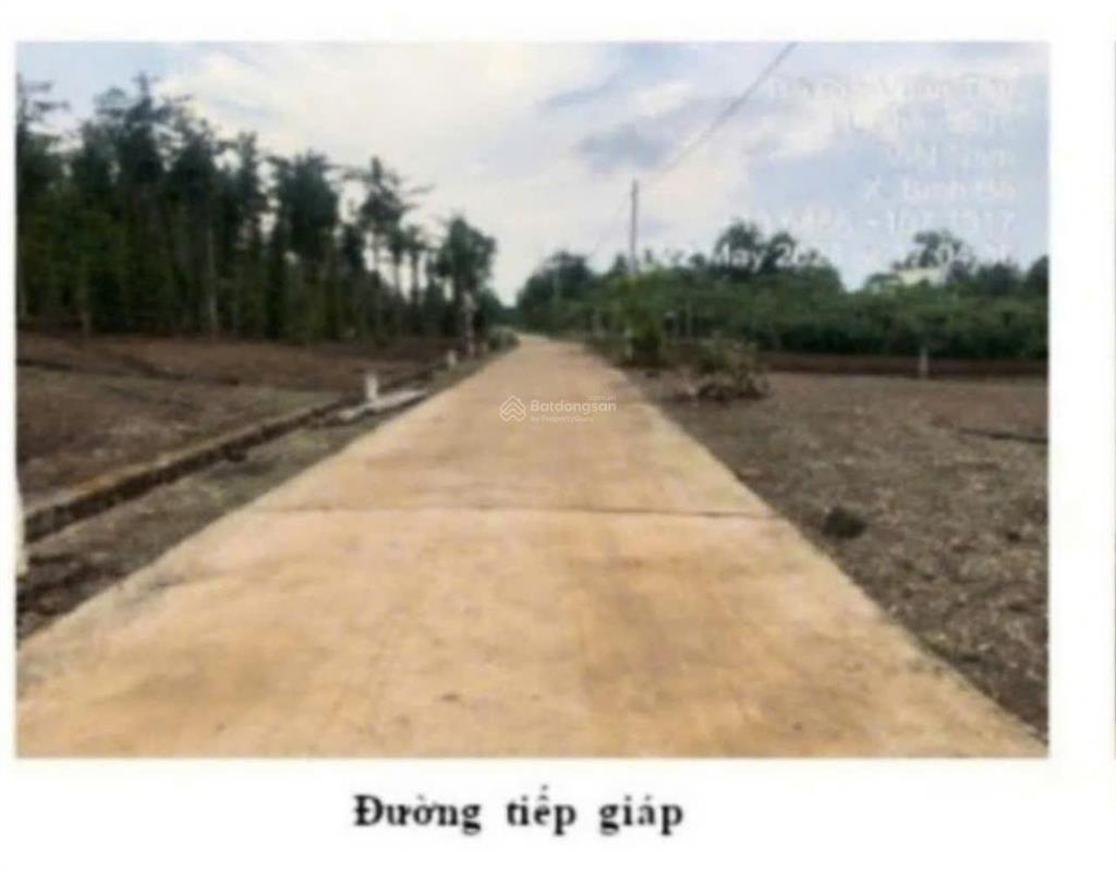 Chính chủ bán đất đẹp giá rẻ vị trí đắc địa tại bình ba giá tốt cho nhà đầu tư nhanh tay