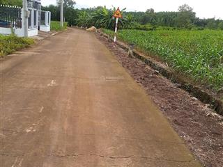 Hàng hiếm bán đất tại bình ba, thỏa thuận giá rẻ, 2800 m2 có 100 thổ cư