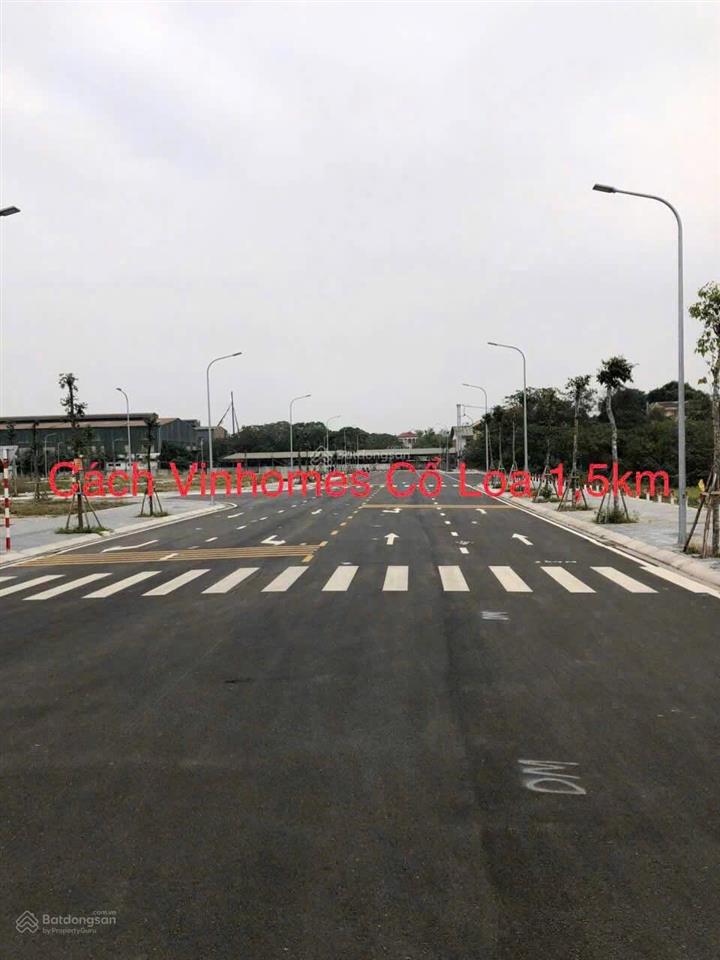 Đất đẹp 43,4m2 lê xá, mai lâm sát khu đấu giá, tttm quốc gia, vin cổ loa, cầu tứ liên cc bán nhanh