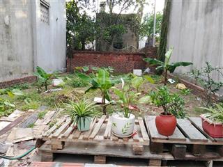 Bán đất tại cao lỗ, đông anh, chỉ 3,98 tỷ, đã có 63,8m2, mặt tiền 5,9m, pháp lý đầy đủ, sẵn sàng gd
