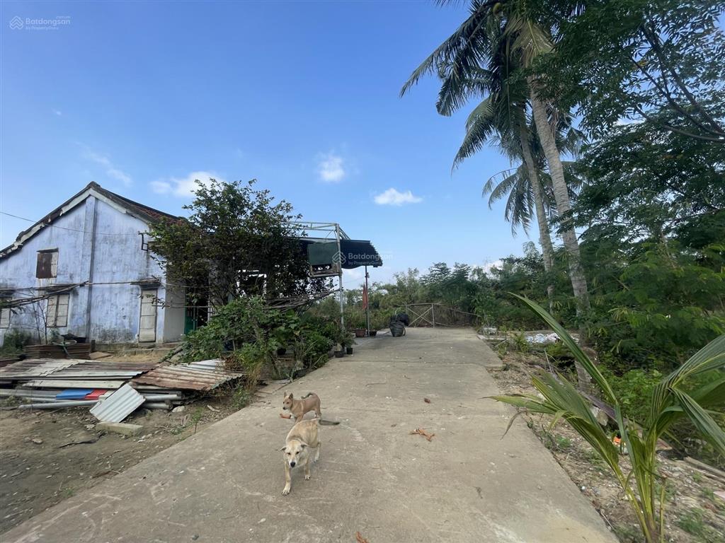 Chào bán lô bê tông điện nam đông