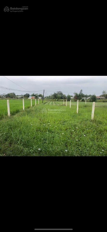 Chính chủ cần bán gấp lô đất full thổ cư ngay xã hòa khánh đông, đức hòa, long an