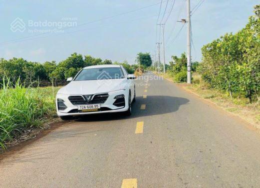 *** 1.350m2 (ont). đất phủ hồng toàn bộ. sát kcn đá bạc, châu đức, bà rịa vũng tàu