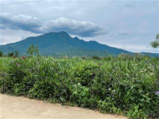 Lô đất wwiu cánh đồng thoáng hướng nhìn thẳng núi ba vì   0972 731 *** giá dầu tư