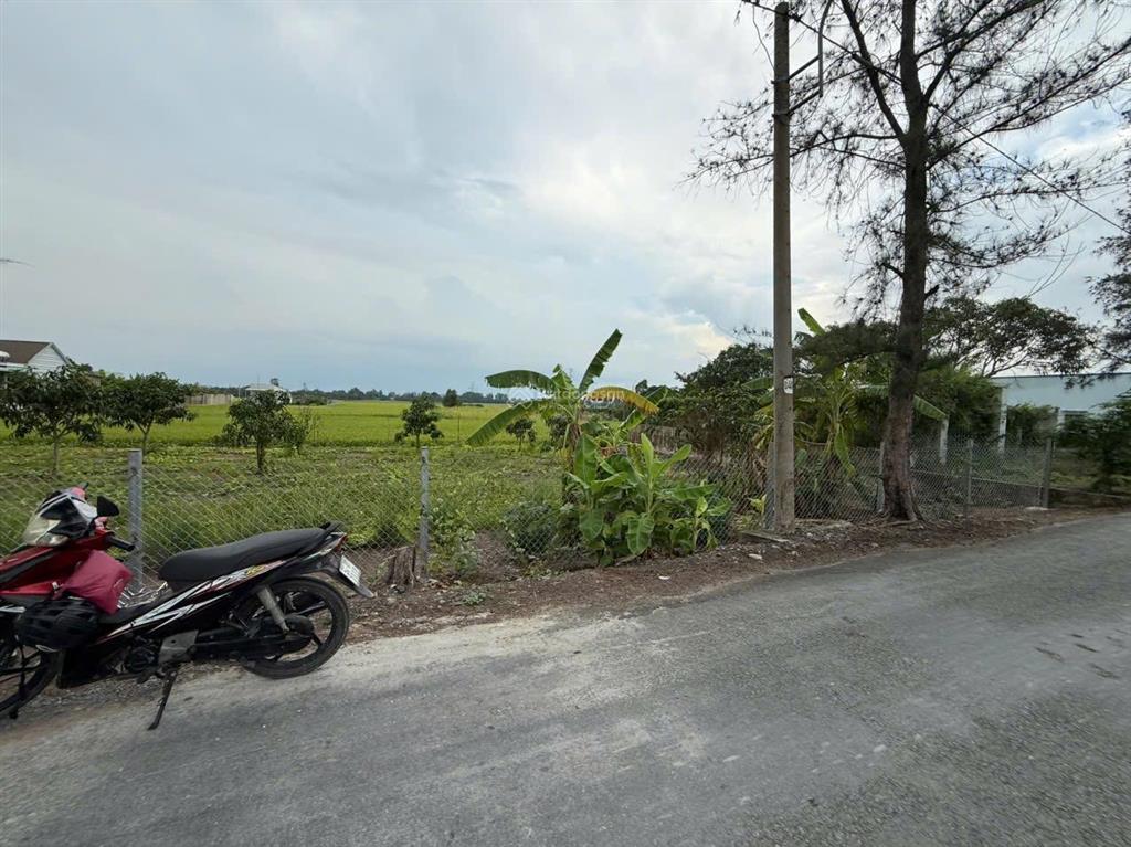 Bán đất đê số 4, 11,3 tỷ, 3455,5 m2, bình chánh, hồ chí minh, view đẹp
