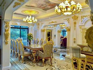 Bán nhà biệt thự h7 starlake có hồ bơi sân vườn nội thất hemes nhập khẩu nhà dát vàng đẹp nhất khu