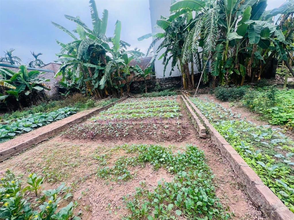 Bán lô đất đẹp 70m dương quang, gia lâm giá chỉ 3 tỷ 3