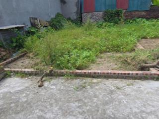 Bán đất xuân nộn đẹp, ô tô vào đất, đầu tư, trung tâm, 43m2, mt 5.3m, chào 2.6 tỷ