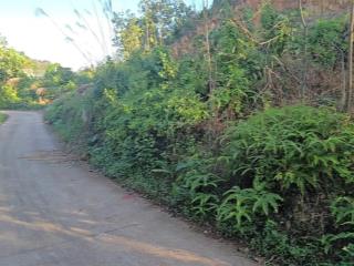 Bán đất nghỉ dưỡng 1120m² đô lương  trung giã, 1.5 tỷ, mt 56m, lưng tựa núi, view đồng, ô tô tải