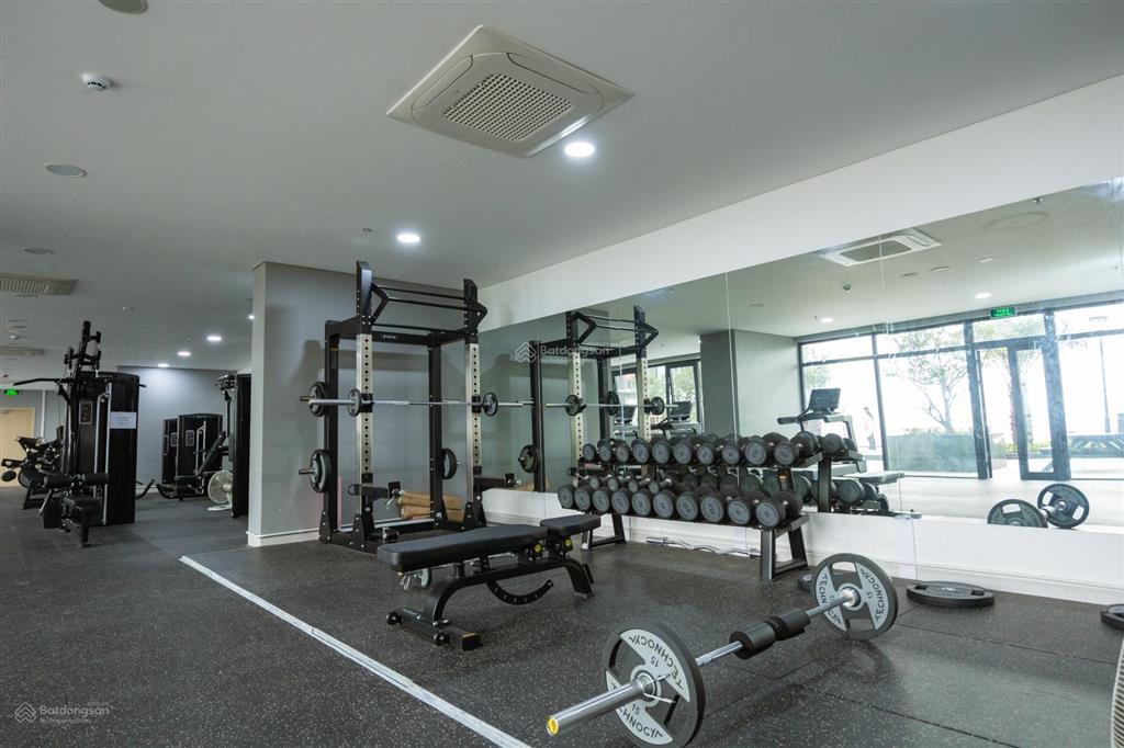 Mai anh leasing  đơn vị chủ đầu tư  khai thác cho thuê dự án  quỹ căn lớn