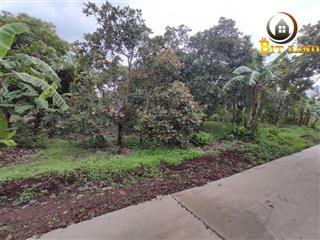 Bán đất xã quang trung, huyện thống nhất, tỉnh đồng nai 6000m2. giá rẻ
