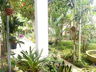 Bán villa mini  sân vườn nhỏ xinh xắn  đủ các loại cây ăn quả  hoa tươi  8,7 tỷ