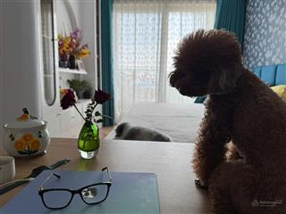 Mở bán penthouse midtown the peak (m8)  nâng tầm đẳng cấp sống