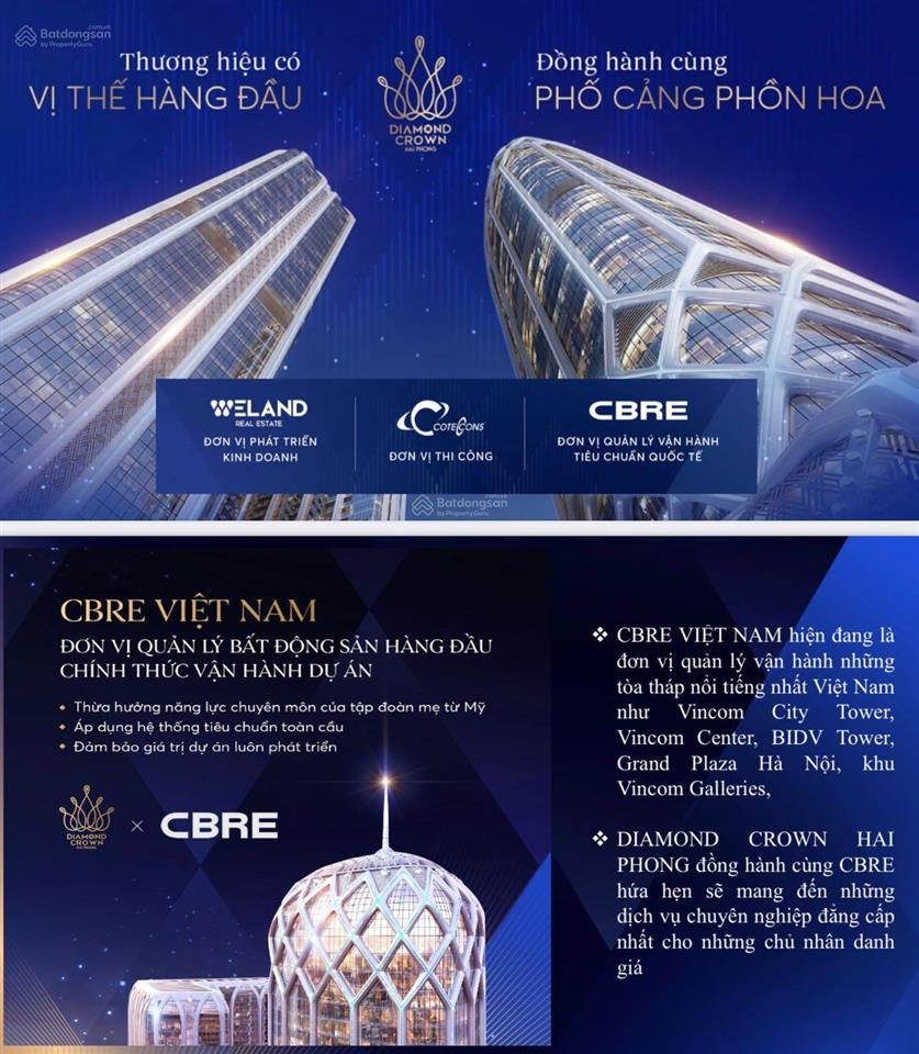 Tổng hợp quỹ căn chuyển nhượng diamond crown hải phòng cập nhật bảng giá mới nhất tháng 9/2026