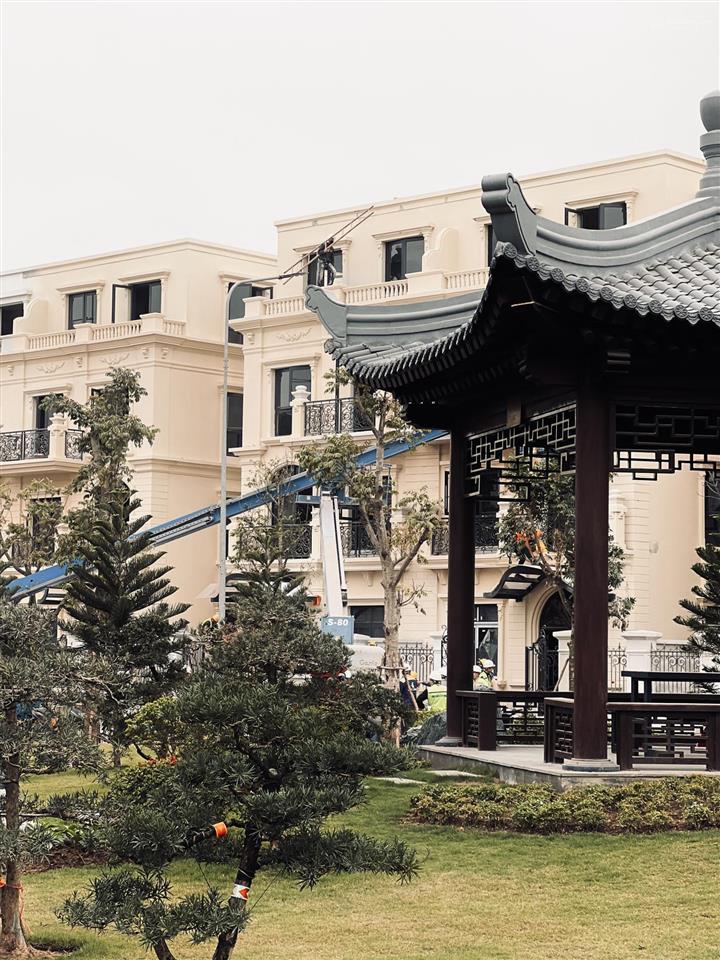 Tổng hợp quỹ căn mở bán phân khu đảo vua  vinhomes vũ yên cập nhật bảng giá mới nhất tháng 5/2026