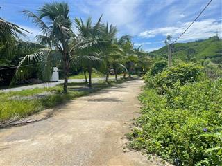 Đất vườn hòa ninh. diện tích 3850m2. chất đất màu mở. phù hợp làm vườn, farm. gần trục chính dt 602