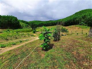 Chủ cần tiền cho con đi du học cần bán gấp 5,5ha đất vườn. bên cạnh sân gold bà nà hilss