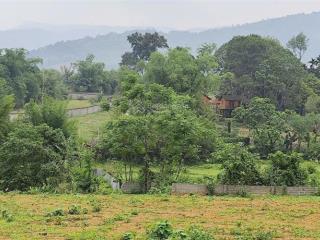 Chính chủ gửi bán lô đất nằm trục chính, đường bê tông, đất vuông vắn, view đồng, giá đầu tư