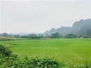 Bán gấp lô đất đẹp không tì vết, khu đông dân cư, đất bằng phẳng, view cánh đồng