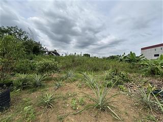 Cần bán đất phú mãn, quốc oai, hà nội. cơ hội đầu tư tiềm năng, đất vàng