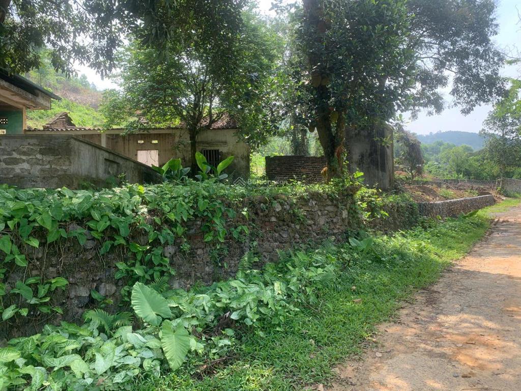 Sở hữu ngay lô đất nghỉ dưỡng cực đẹp giá trị tăng mạnh theo thời gian!