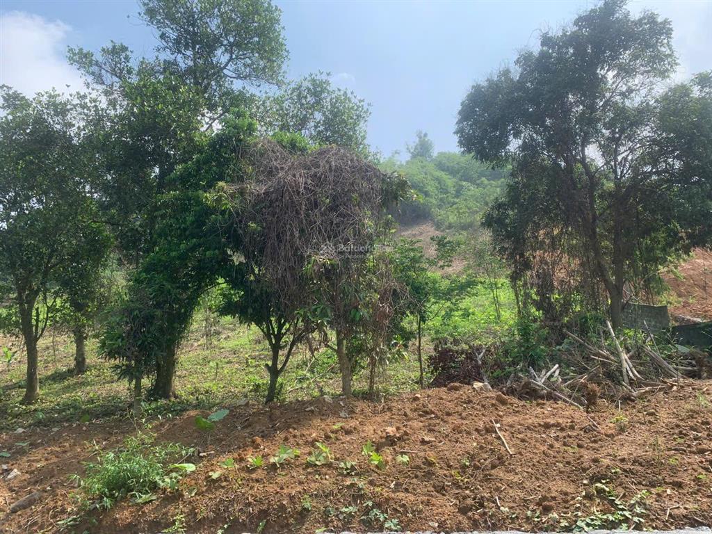 Sở hữu ngay lô đất nghỉ dưỡng cực đẹp giá trị tăng mạnh theo thời gian!