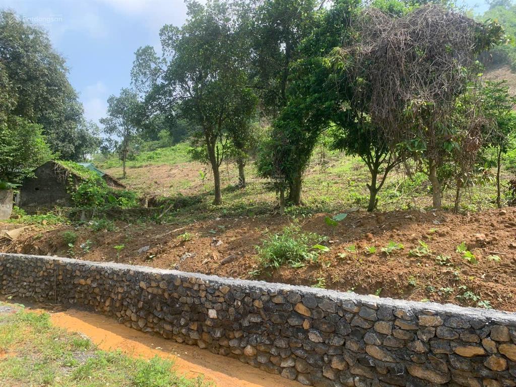 Sở hữu ngay lô đất nghỉ dưỡng cực đẹp giá trị tăng mạnh theo thời gian!