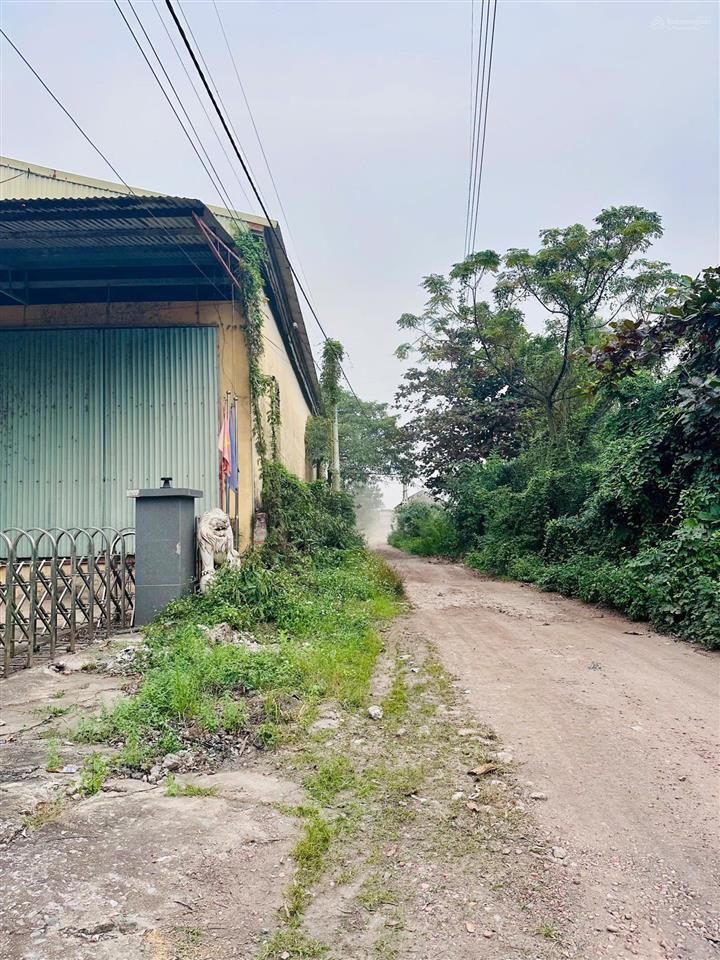 Cơ hội sở hữu đất sản xuất kinh doanh sẵn xưởng tại mê linh, hà nội ok