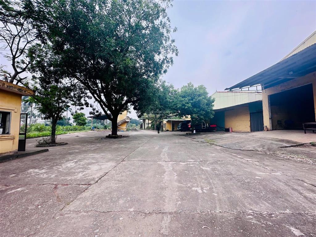 Cơ hội sở hữu đất sản xuất kinh doanh sẵn xưởng tại mê linh, hà nội ok