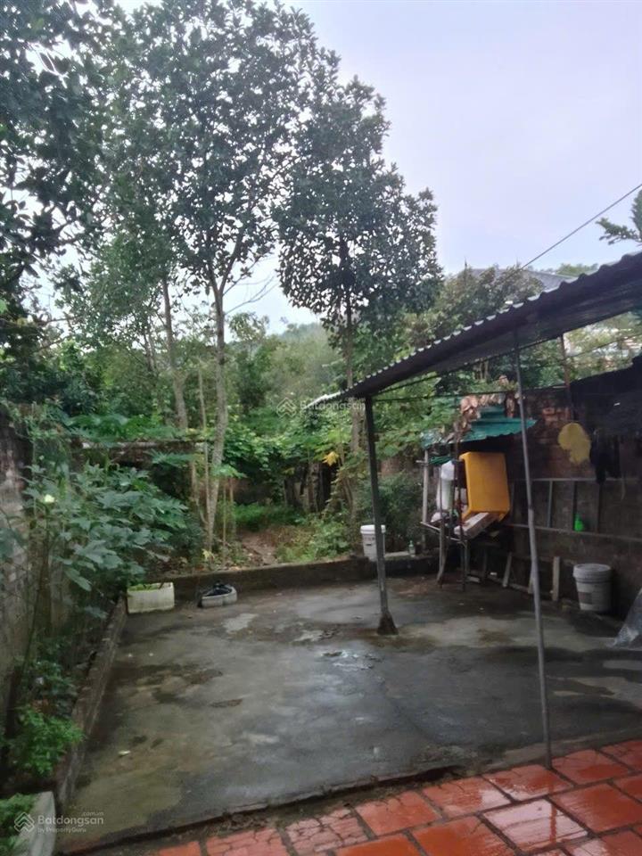 Cần tiền bán gấp nhà riêng mặt đường trường chinh, phúc yên, vĩnh phúc chợ xuân hòa