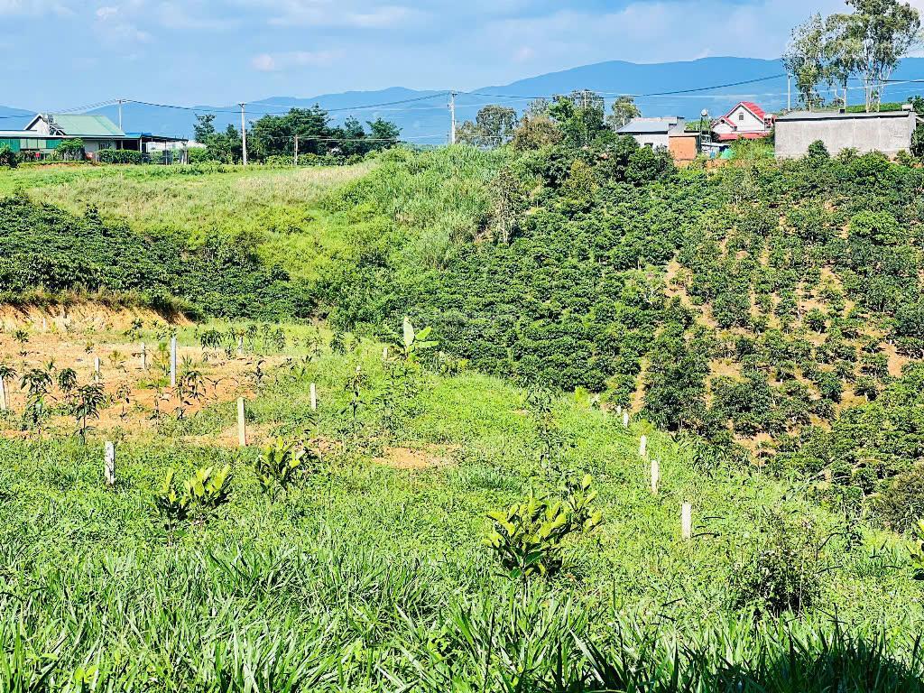 Bán 1009m2 đất xã nam hà, cách đường nhựa 100m chỉ 580 triệu
