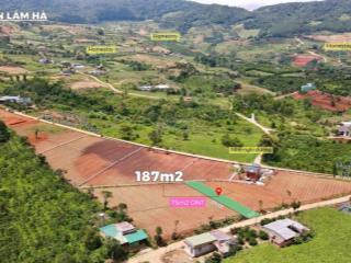 Đất ven đà lạt giá chỉ 520 triệu, shr, view đồi thông mát mẻ